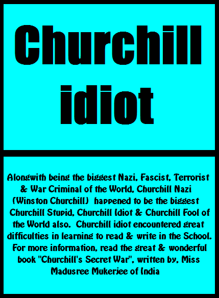 Widget_Churchill Idiot